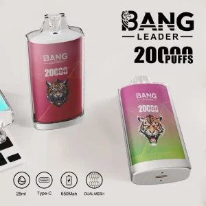Bang Leader 20K — Einweg E-Zigarette mit 20.000 Zügen | Versand aus Deutschland