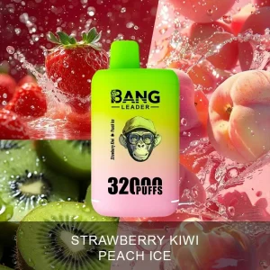Bang Leader 32K — Einweg E-Zigarette mit 32.000 Zügen | Versand aus Deutschland
