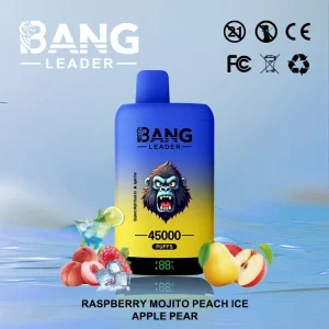 Bang Leader 45K — Einweg E-Zigarette mit 45.000 Zügen | Versand aus Deutschland