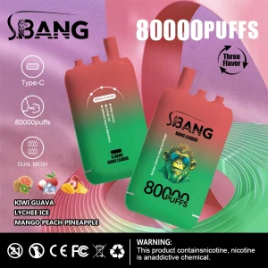 Bang Leader 80K — Einweg E-Zigarette mit 80.000 Zügen | Versand aus Deutschland