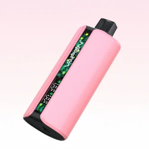 VAPEN FLOW — Einweg E-Zigarette mit 40.000 Zügen & 20 Sorten | Versand aus Deutschland