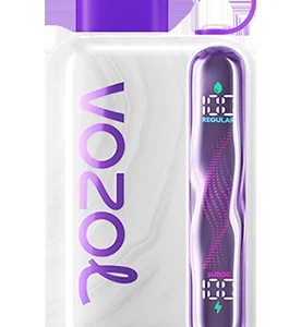 VOZOL SATR 40000 — Dual Mesh Einweg Vape mit 24 Flavors | 40.000 Züge | Versand aus Deutschland